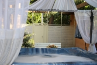 ���� �� ����